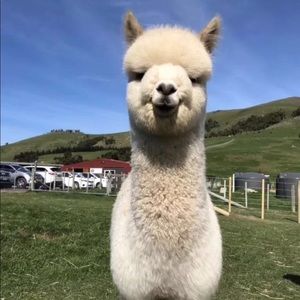 Meet your Posher, Mike